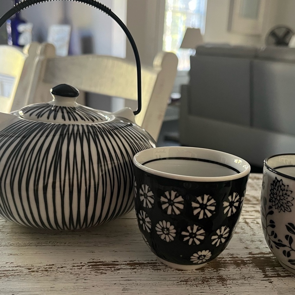 Akina  Black and White Teapot Set
